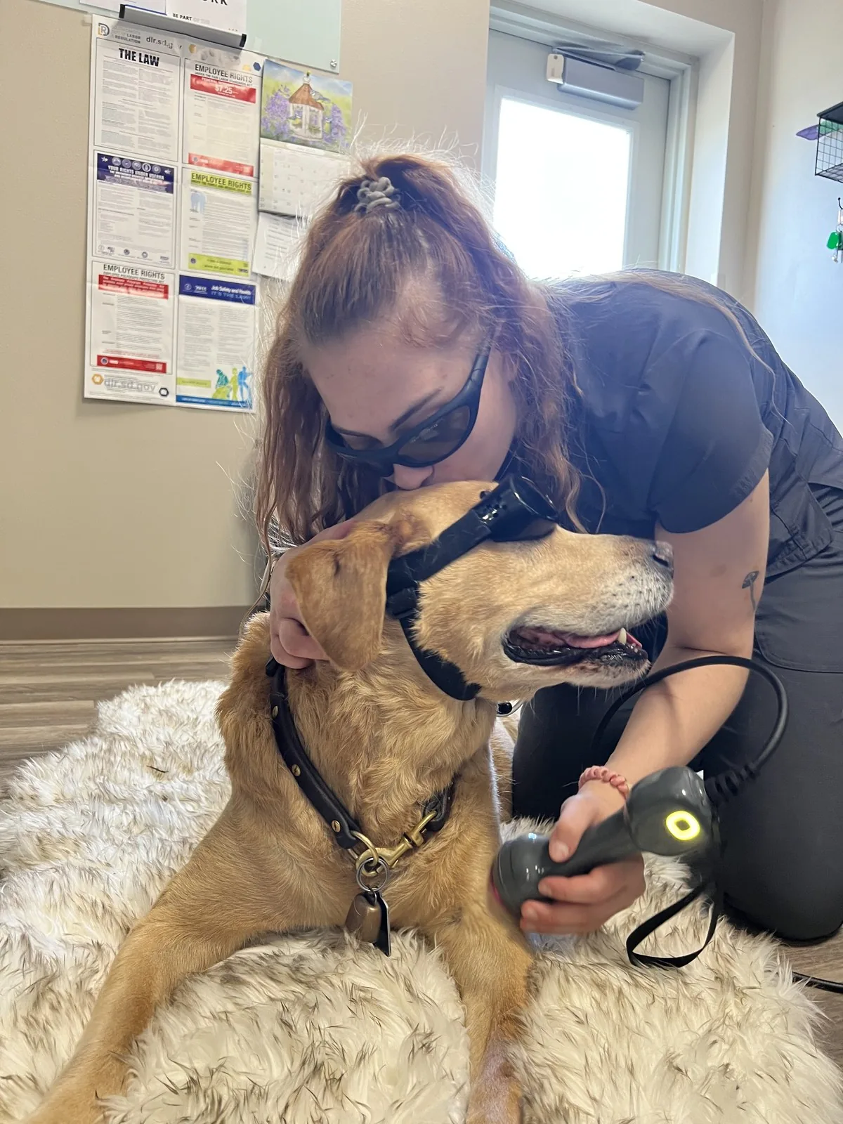 A Lewis & Clark team member sharing a warm moment with a golden retriever — full, focused attention