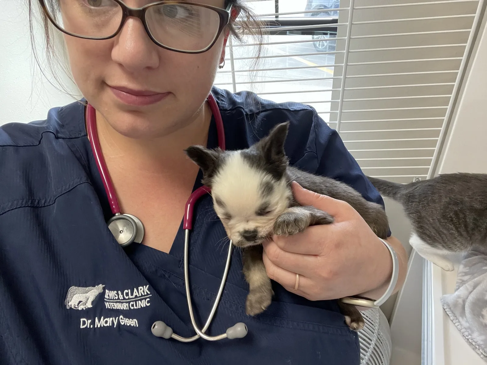 Dr. Mary Green cradling a tiny puppy