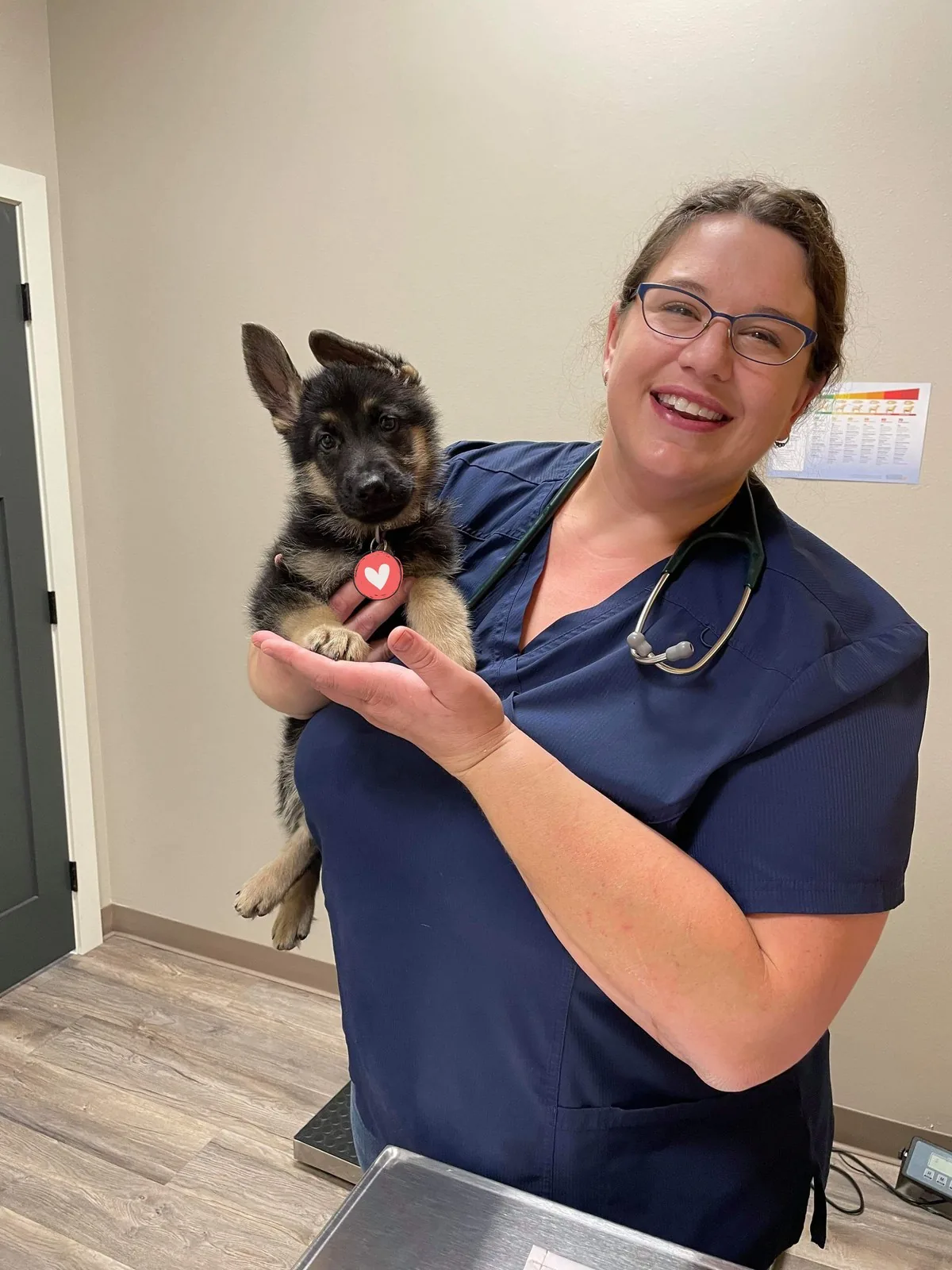 A smiling Lewis & Clark team member holding a German Shepherd puppy in the exam room