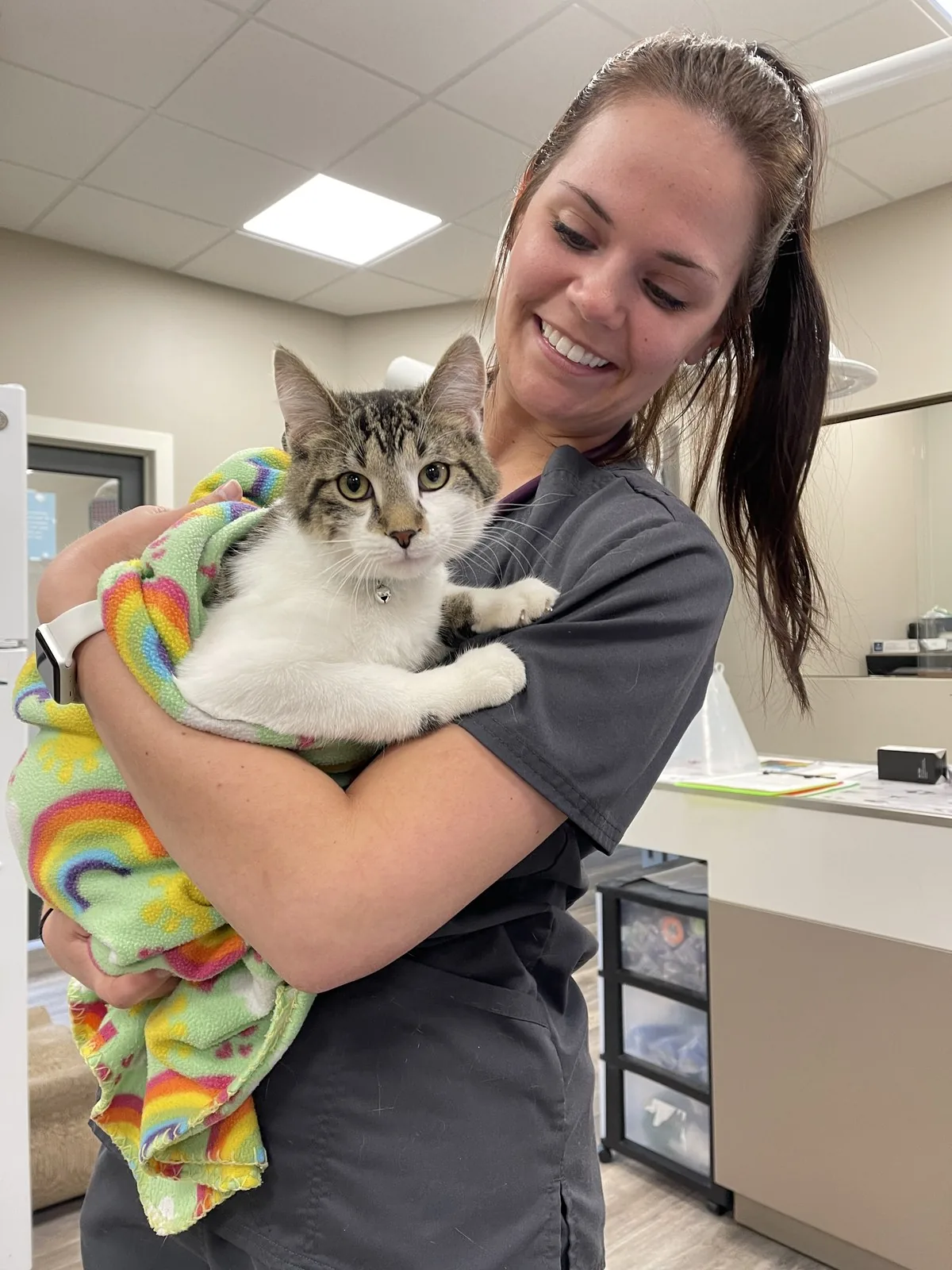 A smiling Lewis & Clark team member holding a tabby kitten wrapped in a colorful blanket