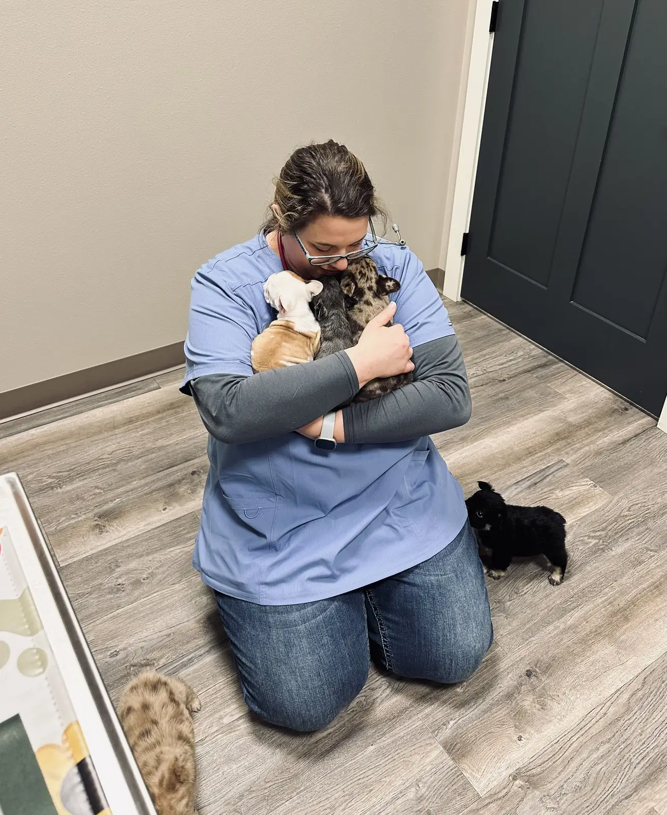 A Lewis & Clark team member kneeling to cuddle a litter of puppies and kittens