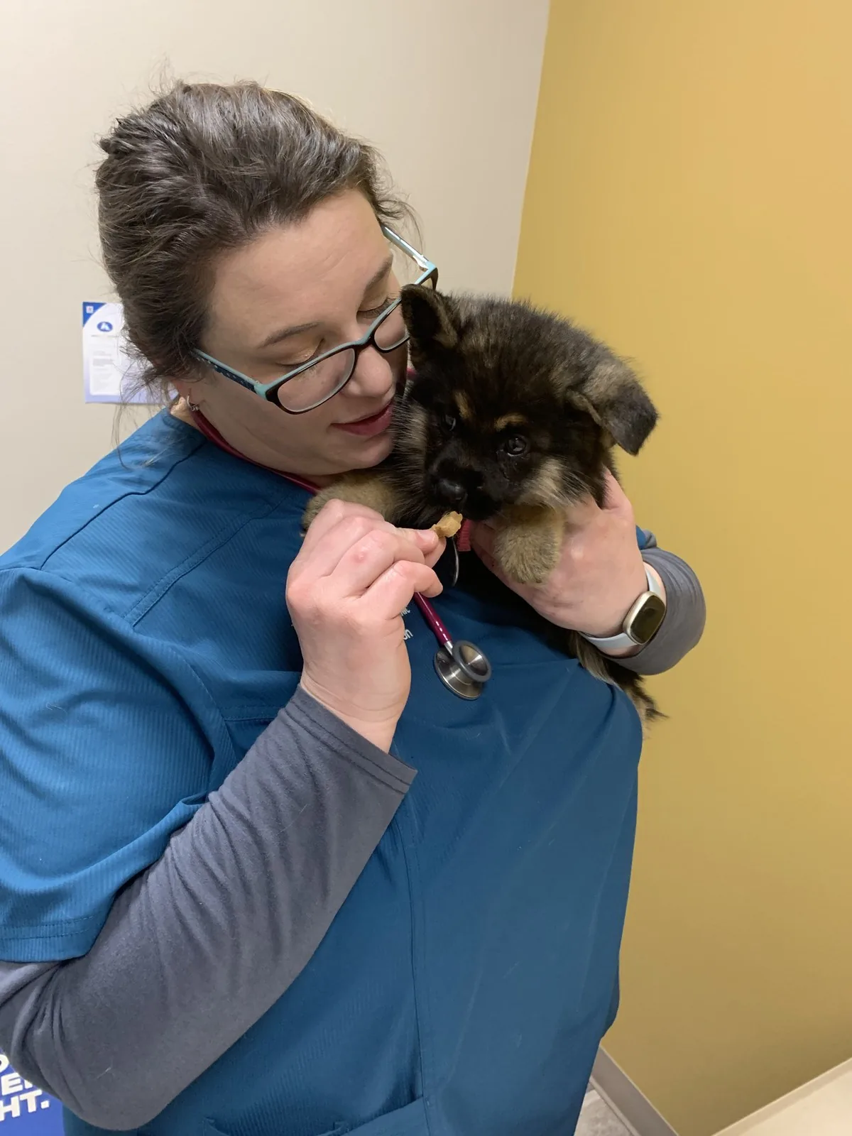 A Lewis & Clark team member introducing a German Shepherd puppy to the stethoscope