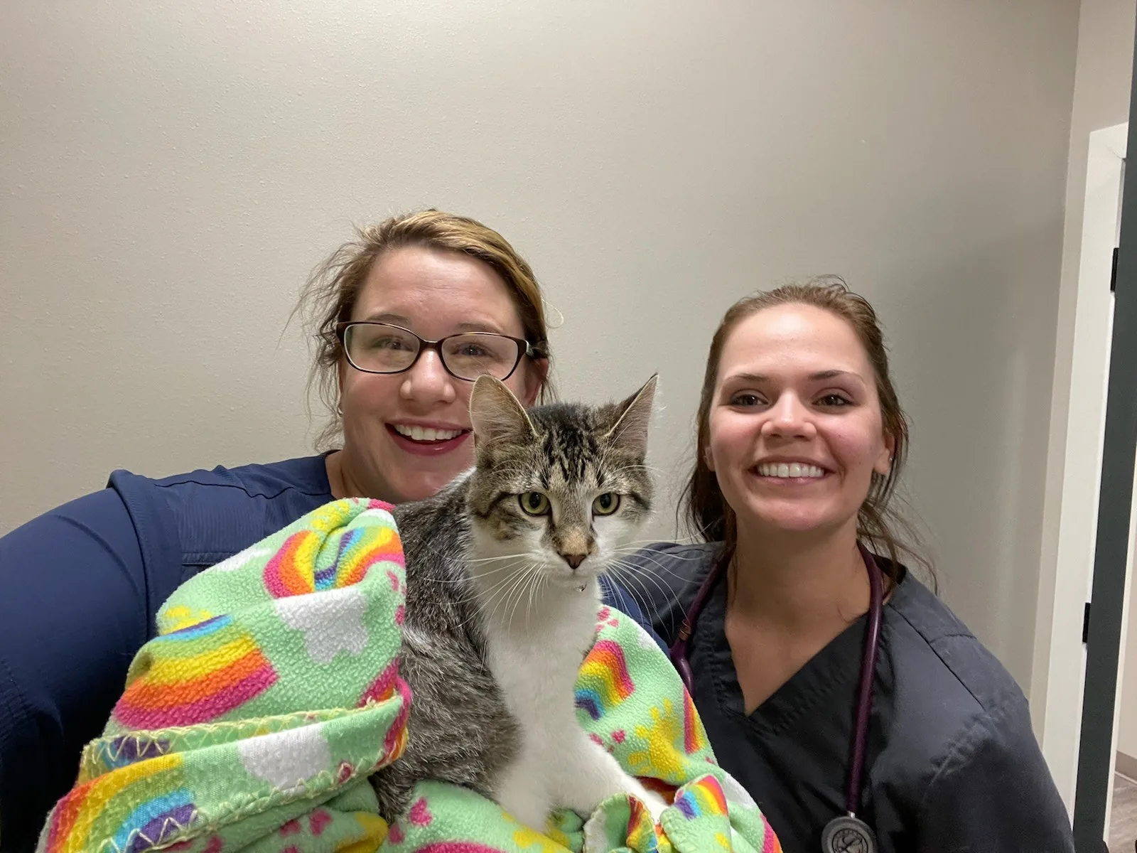 Two Lewis & Clark team members gently comforting a cat wrapped in a soft blanket — unhurried, careful handling