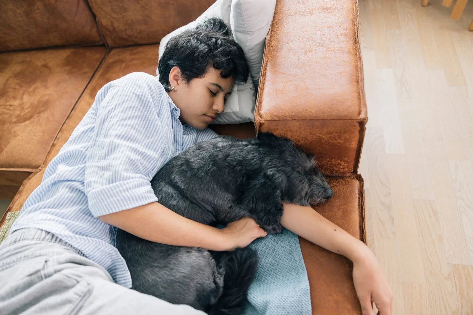 Person resting peacefully alongside their senior dog on a soft couch, a quiet moment of comfort