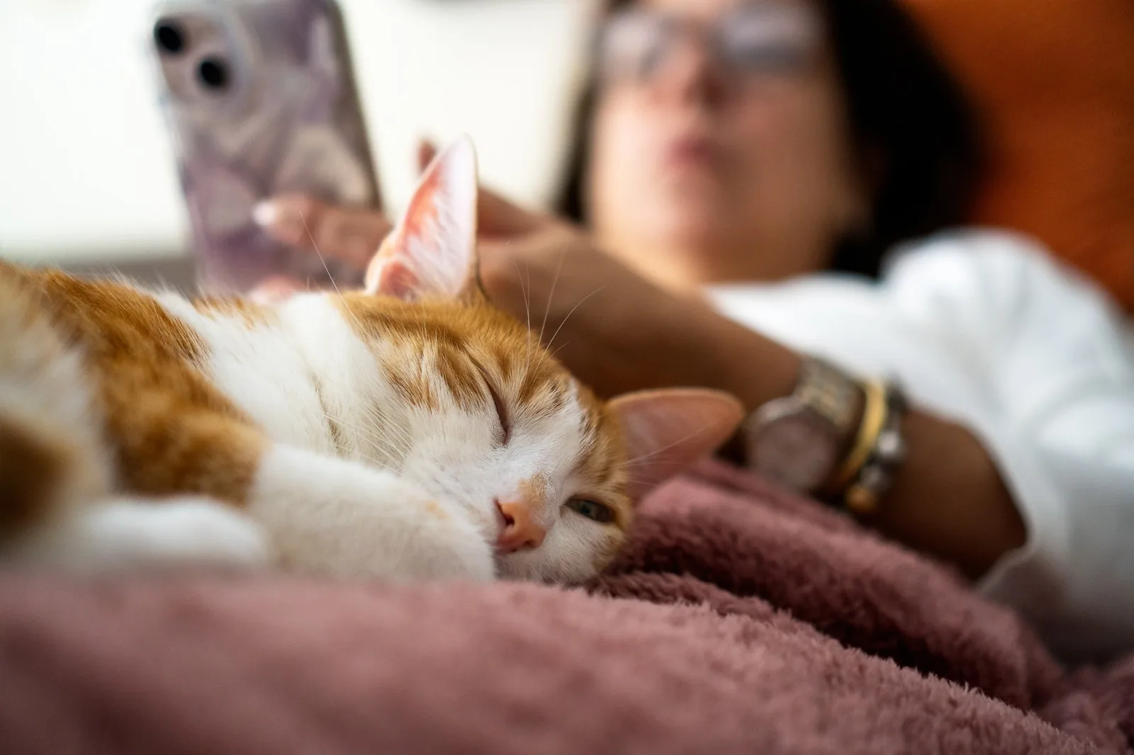 A pet owner relaxing on a phone while her ginger cat sleeps peacefully beside her — telehealth care from home