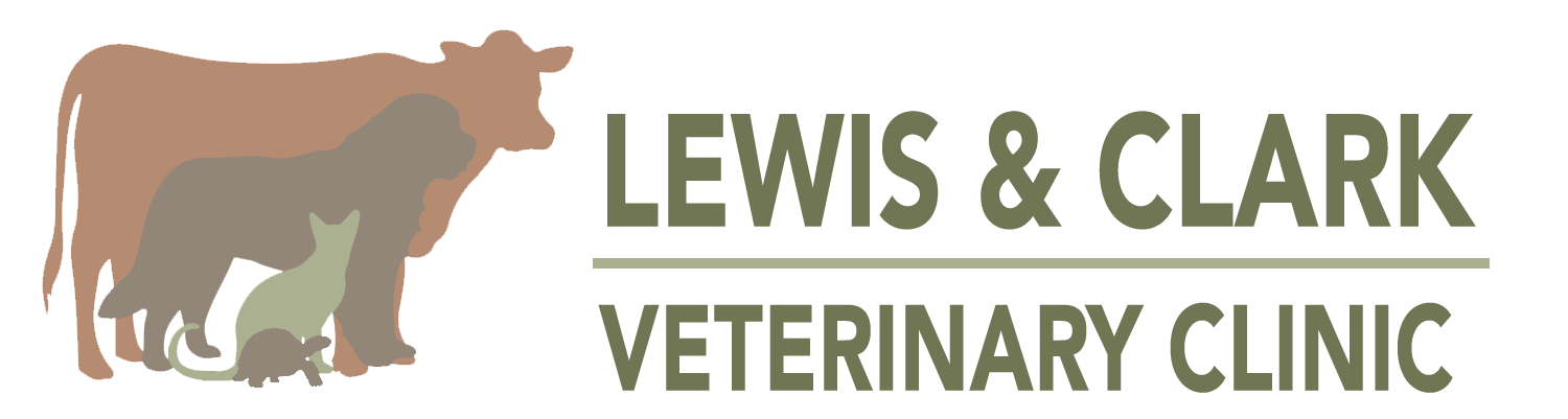 Lewis & Clark Veterinary Clinic